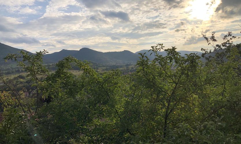 Gites insolites avec Spa en Alsace  Les Prunelles Sauvages - roulotte - chalet - jacuzzi - sauna- vue panoramique - Val de Villé