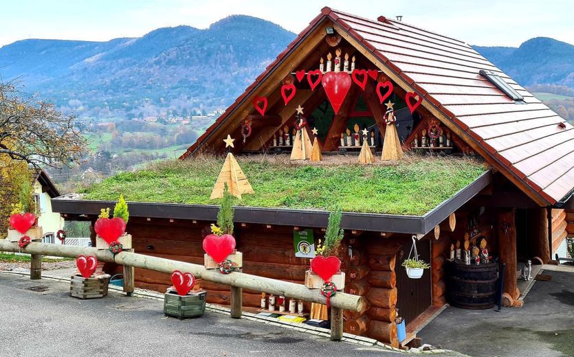 Gites d'Alsace et Spa Les Prunelles Sauvages - chalet en rondin de bois - jacuzzi - sauna- vue panoramique - Val de Villé
